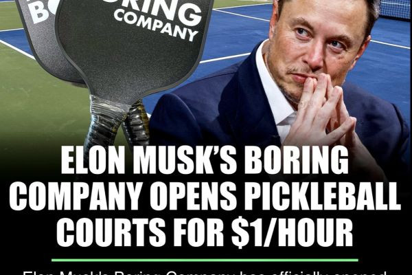 Elon Musk's boring company opens pickleball court for $1/hour